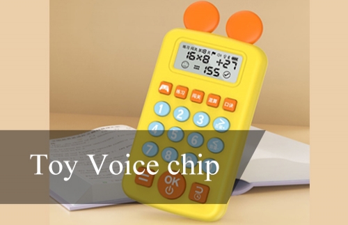 Toy Voice Chip