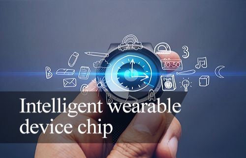 Smart Wearable Device Chip