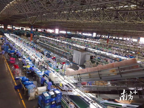 出口破50億元,稅收優(yōu)惠助東鳳小家電行業(yè)起航